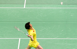 Badminton Testimonial